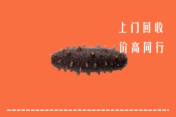 上党区回收海参