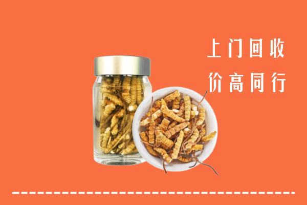 上党区回收冬虫夏草