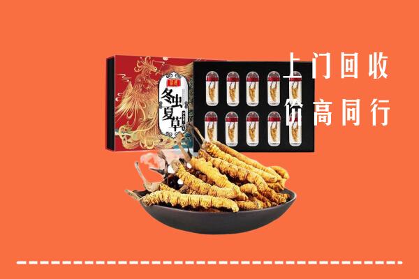 上党区回收虫草